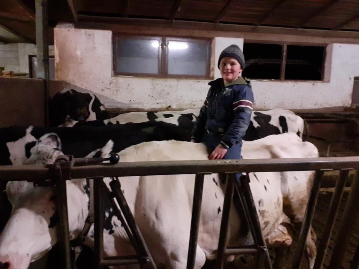Schweiggerhof -Agriturismo- Farm Holidays 빌란드로 외부 사진