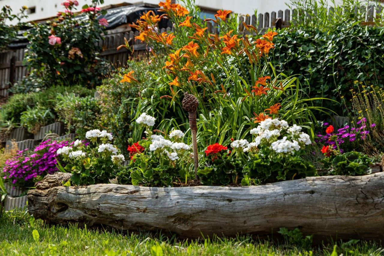 Schweiggerhof -Agriturismo- Farm Holidays 빌란드로 외부 사진