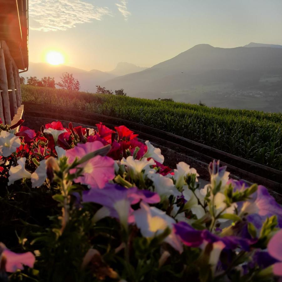 Schweiggerhof -Agriturismo- Farm Holidays 빌란드로 외부 사진