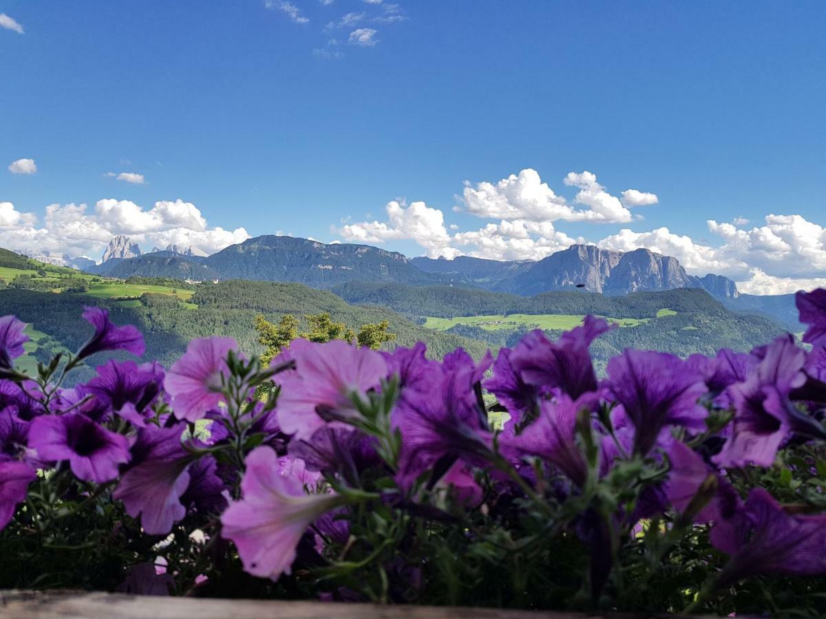 Schweiggerhof -Agriturismo- Farm Holidays 빌란드로 외부 사진